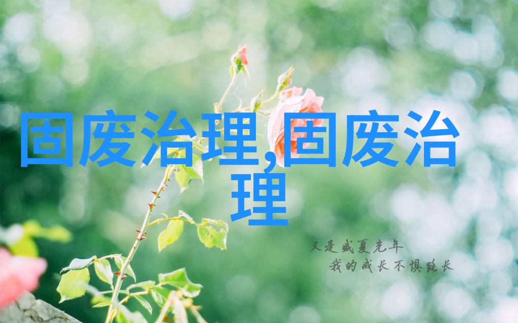 超87亿预算武汉市新洲区生活垃圾收运项目特许经营公开招标