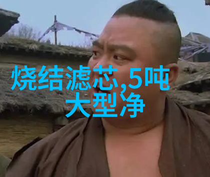 微孔膜折叠滤芯及滤膜特点介绍
