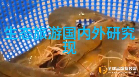 合肥市2019年6月城区污水处理厂水质水量相关指标